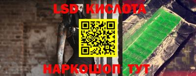 прущие грибы Кохма