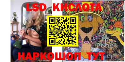 прущие грибы Кохма