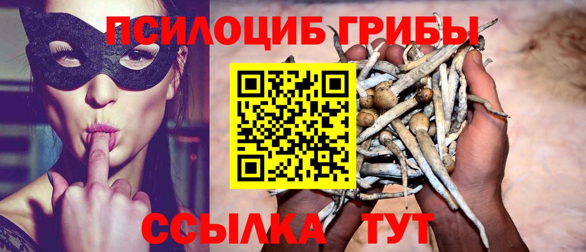 Галлюциногенные грибы MAGIC MUSHROOMS Канск