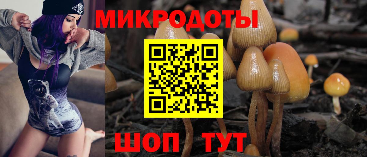 Галлюциногенные грибы мицелий  Вход с VPN  Канск 